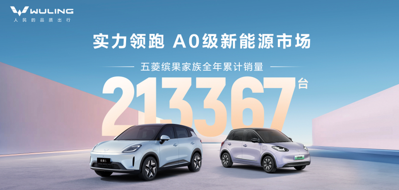 缤果家族2025全年热销213367辆，为用户提供缤纷代步新选择