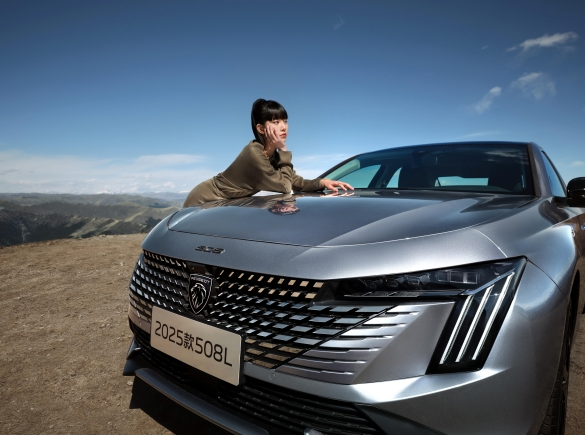 骐骥驰骋 “狮”不可挡 东风标致荣登央视